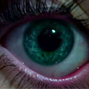 Meet your Posher, Isaac